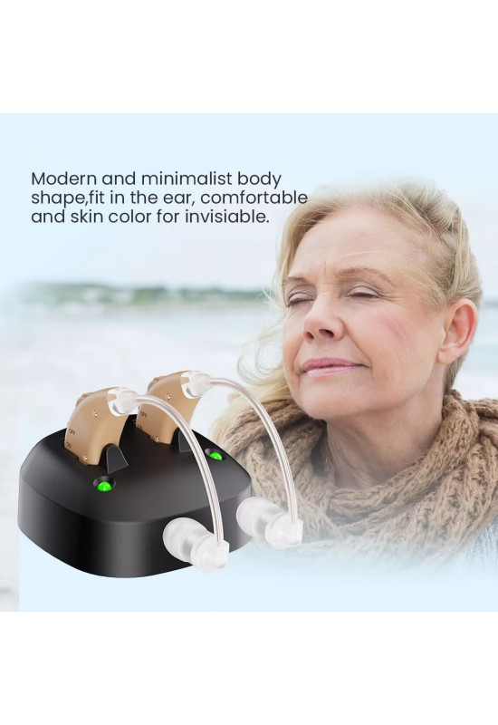 HiSound 338 rechargeable hearing aids
