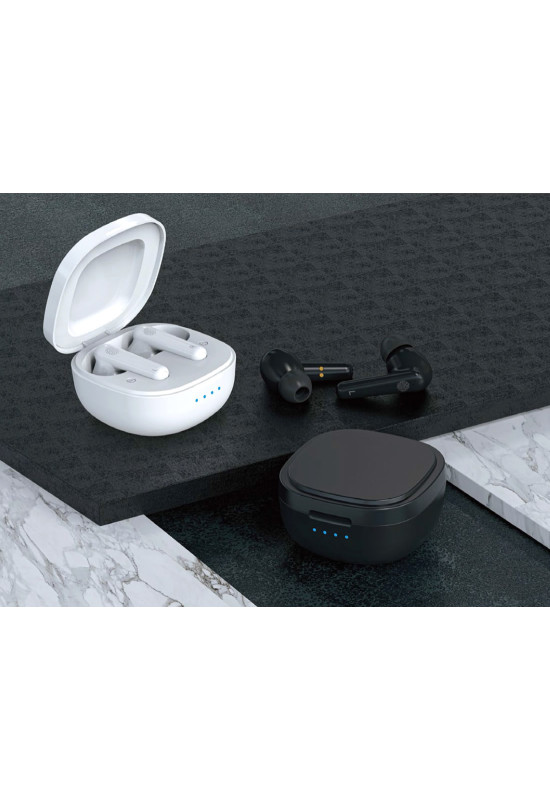 HiSound D22 Pro rechargeable digital hearing aids