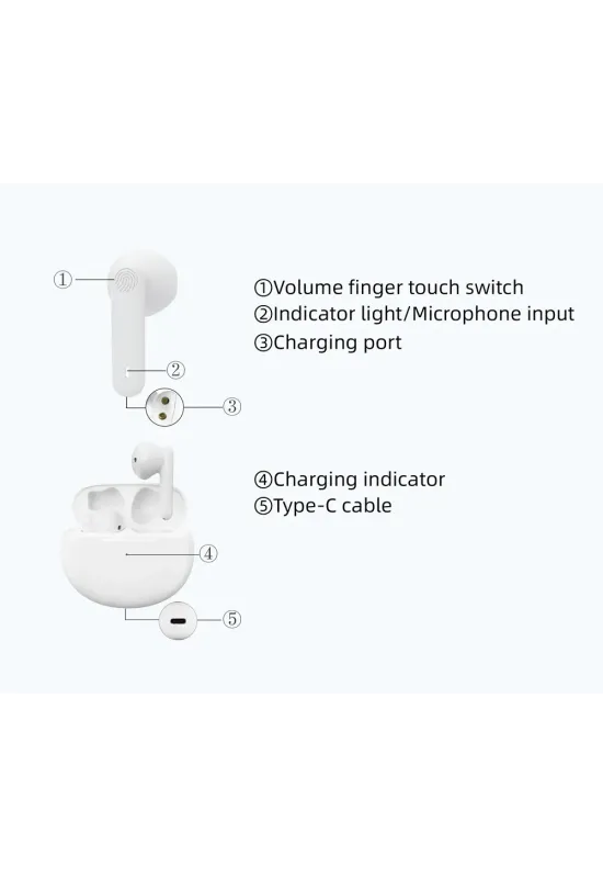 HiSound IA013A rechargeable digital hearing aids with anti-whistle filter