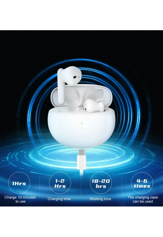 HiSound IA013A rechargeable digital hearing aids with anti-whistle filter